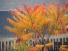 dsc02630_resize